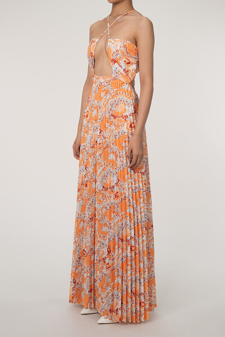 Boho Floral Print Plunge Back Tie Cutout Pleated Beach Vacation Maxi Dress