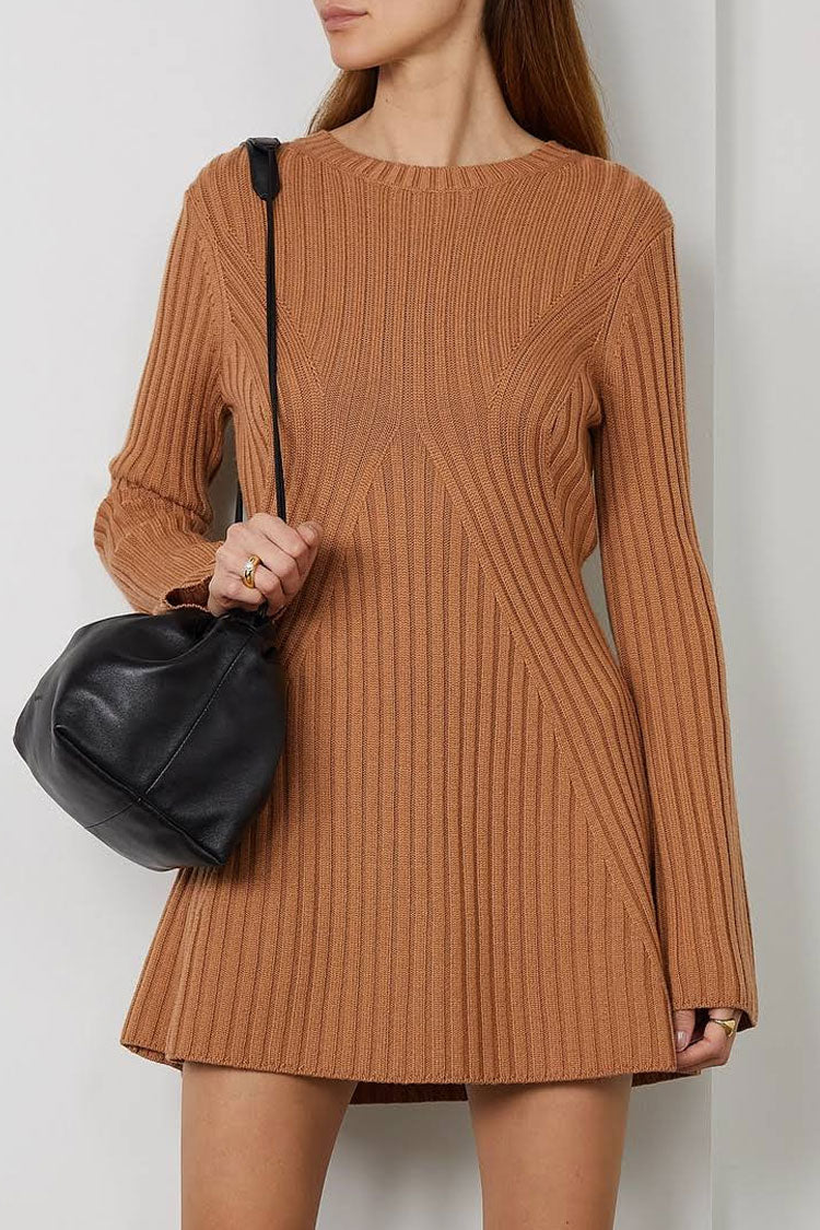 Simple Ribbed Knit Crew Neck Long Sleeve Winter Sweater Mini Dress - Brown